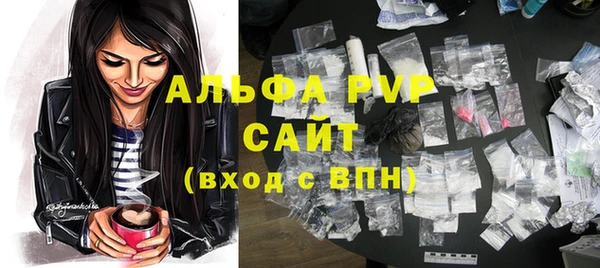 ПСИЛОЦИБИНОВЫЕ ГРИБЫ Белокуриха