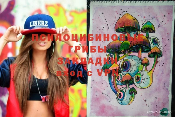 ГАЛЛЮЦИНОГЕННЫЕ ГРИБЫ Балахна